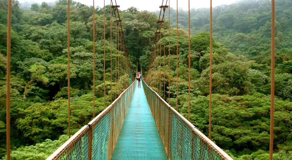 Selvatura Walkways - Treetop Pasarelas y Puentes Colgantes en Monteverde - MG